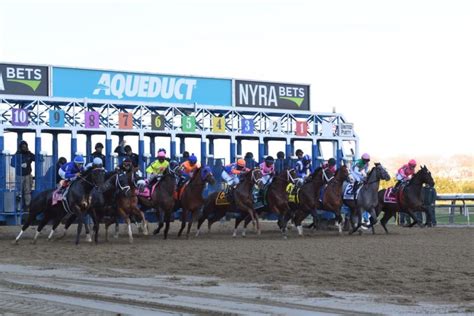 twinspires carryovers|Horse Racing Carryover Pools .